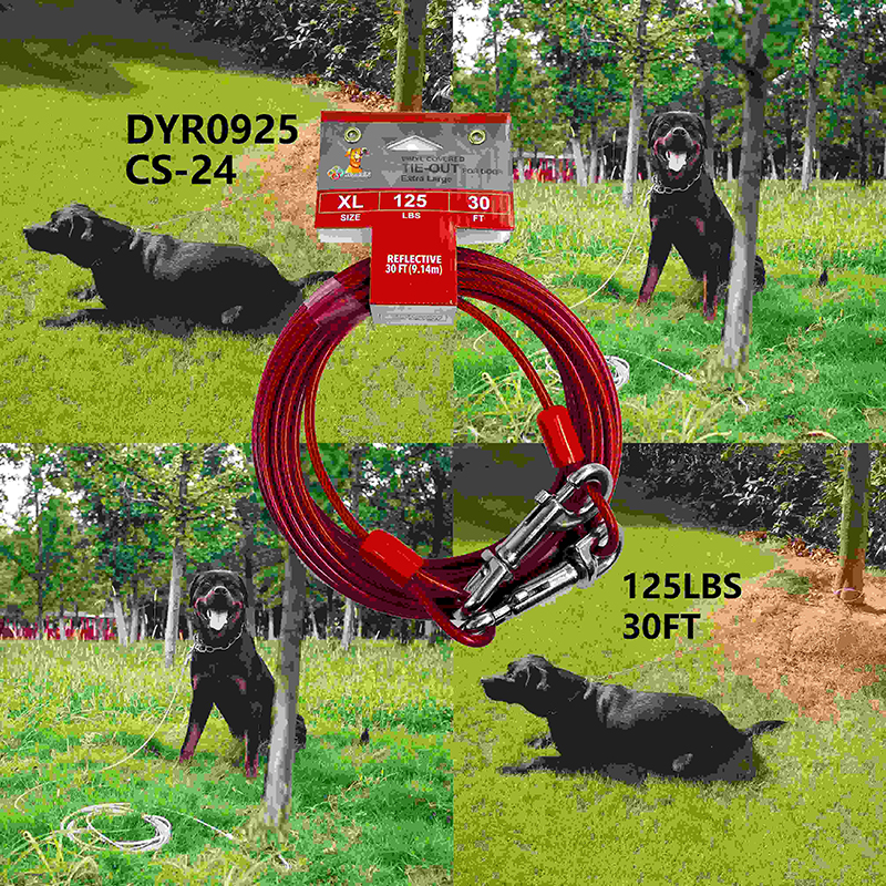 DYR0925